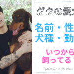 まるもりジャーナル みんなが知りたい情報を まる っと もり っとお届け まるもりジャーナル みんなが知りたい情報を まる っと もり っとお届け