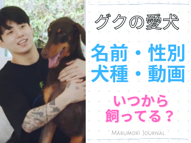 グクの愛犬の名前はバムで犬種はドーベルマン 待ち受けや動画も紹介 まるもりジャーナル